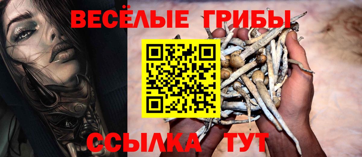Псилоцибиновые грибы Cubensis  Псилоцибиновые грибы мицелий  Вход с VPN  Горячий Ключ 